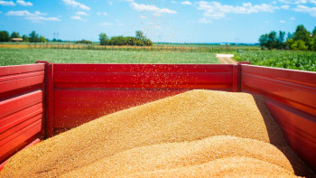 Фотография к новости: Қазақстан Мароккоға астықтың алғашқы партиясын жіберді