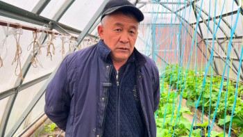 Фотография к новости: Еңбек, кәсіп, нәтиже: өмірін еңбекпен өрген жандар