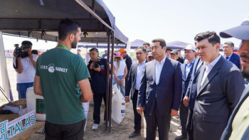 Фотография к новости: Биыл Қазақстандағы егіс көлемі 23,7 млн гектар болады