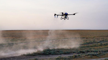 Фотография к новости: Шегірткеге қарсы жұмыста ұшақтар мен дрондар қолданылып жатыр