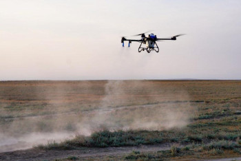 Шегірткеге қарсы жұмыста ұшақтар мен дрондар қолданылып жатыр