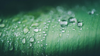 Фотография к новости: Найзағай, жаңбыр, бұршақ: Демалыс күндері ауа райы қандай болады?