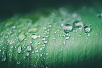 Фотография к новости: Найзағай, жаңбыр, бұршақ: Демалыс күндері ауа райы қандай болады?