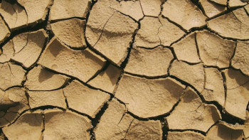 Фотография к новости: Ирандағы жер сілкінісінен 29 адам зардап шекті