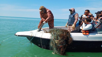 Фотография к новости: "Бекіре - 2025": 445 браконьерге 10,9 млн теңге айыппұл салынды