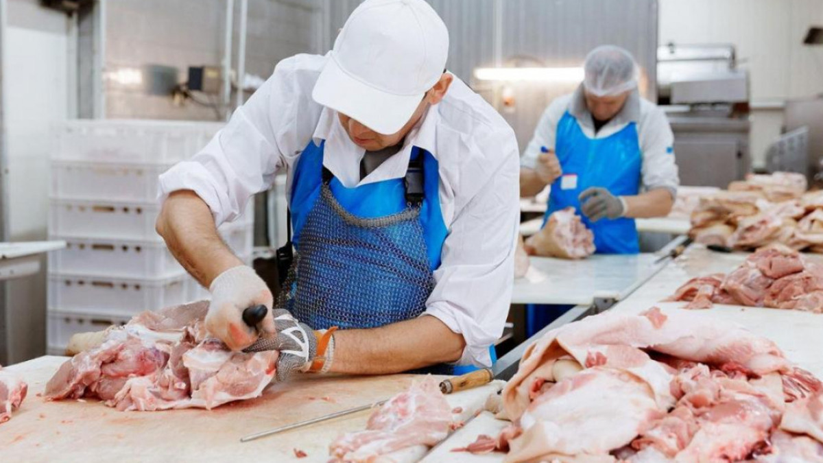  Фото: Ауыл шаруашылығы министрлігі