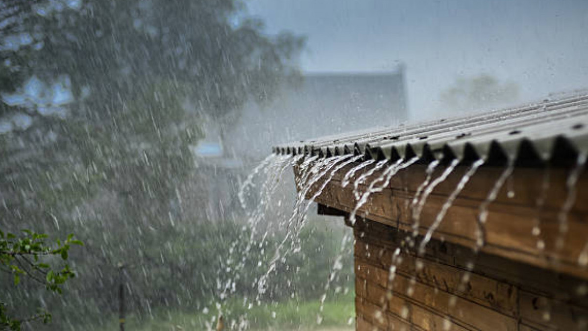  Фото: istockphoto.com