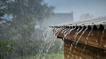 Фотография к новости: Бүгін еліміздің басым бөлігінде жаңбыр жауады