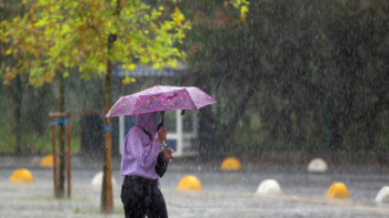 Фотография к новости: 5 мамырда найзағай ойнап, нөсер жаңбыр мен бұршақ жауады