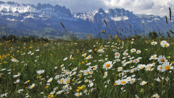 Фотография к новости: 6 мамырға арналған ауа райы болжамы