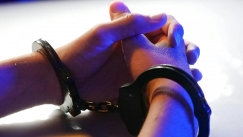 Фотография к новости: Бұрынғы президенттің қызы алаяқтық үшін қамауға алынды