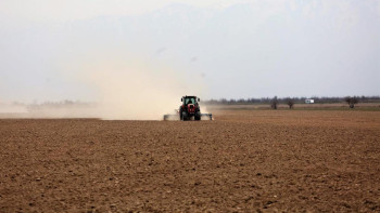 Фотография к новости: Еліміздің оңтүстігінде көктемгі егіс науқаны аяқталуға жақын