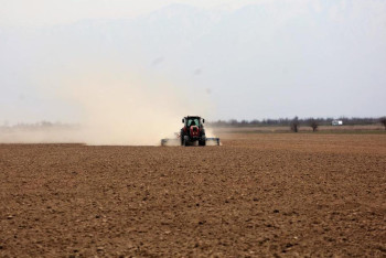 Еліміздің оңтүстігінде көктемгі егіс науқаны аяқталуға жақын