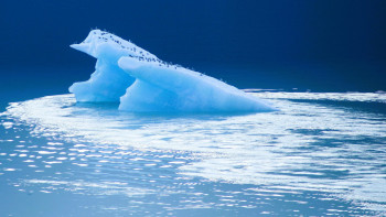 Фотография к новости: 40 жылдан кейін Жер бетінде мұз дәуірі қайта басталуы мүмкін