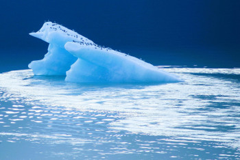 Фотография к новости: 40 жылдан кейін Жер бетінде мұз дәуірі қайта басталуы мүмкін