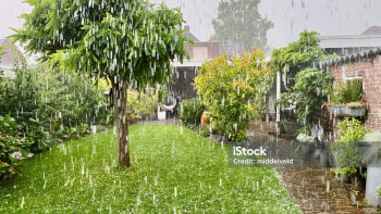 Фотография к новости: Бұршақ, жаңбыр жауады: алдағы үш күнге ауа райы болжамы