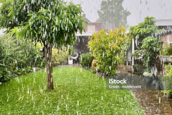 Фотография к новости: Бұршақ, жаңбыр жауады: алдағы үш күнге ауа райы болжамы