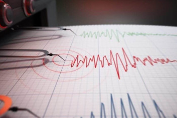 Фотография к новости: «Қирандылар туралы мәлімет түскен жоқ». Алматыдағы жер сілкінісіне қатысты ақпарат берілді