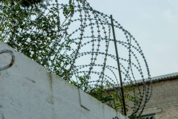 Енесінің атына 2,5 млн теңге несие рәсімдеген келін сотталды