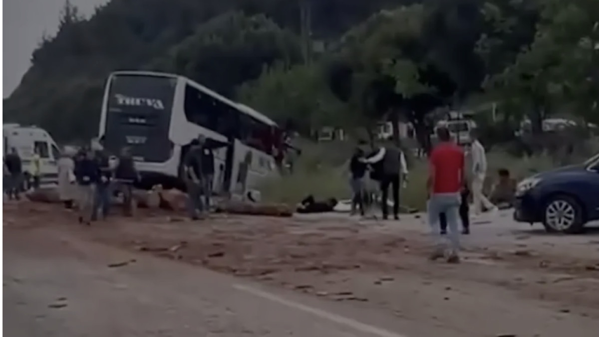  видеодан скрин