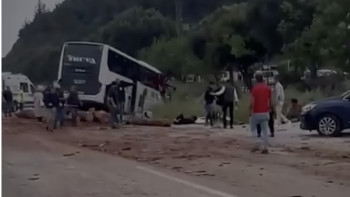 Фотография к новости: Түркияда туристер мінген автобус апатқа ұшырады: 8 адам қаза тапты