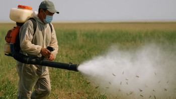 Фотография к новости: Шегірткемен күрес: Премьер-министр екі өңірді бақылауға алуды тапсырды