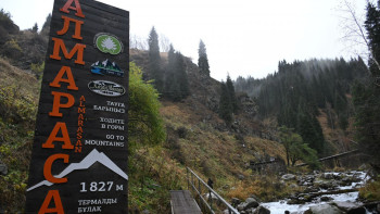 Фотография к новости: "Алма-Арасанға" кіру шілде айына дейін ішінара шектелді