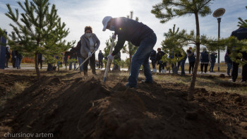 Фотография к новости: "Таза Қазақстан": Биыл 1,7 млн ағаш егіліп, 121 мың тонна қалдық жиналды