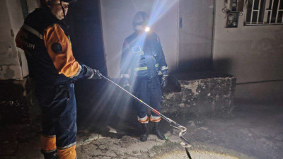 Алматы облысында үйге жылан кіріп кеткен