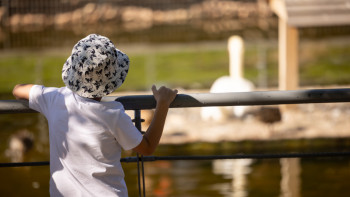 Фотография к новости: Дәрігер: Анемияға шалдыққан анадан аутист бала дүниеге келуі мүмкін