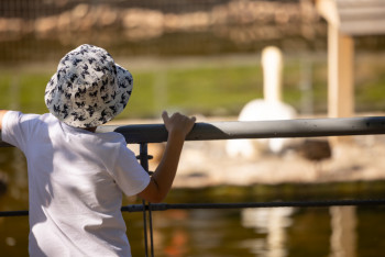 Фотография к новости: Дәрігер: Анемияға шалдыққан анадан аутист бала дүниеге келуі мүмкін