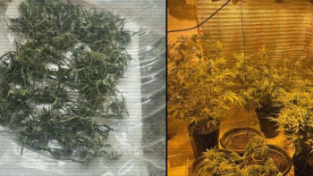 Фотография к новости: Қызылорда облысында өз үйінде фитозертхана ұйымдастырғандар ұсталды