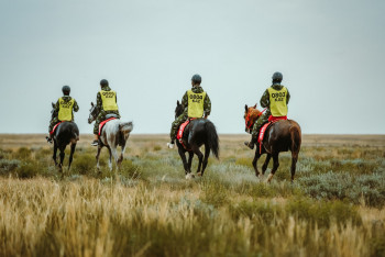 Фотография к новости: Қостанай тұқымды жылқылар ең жүйрік атанды