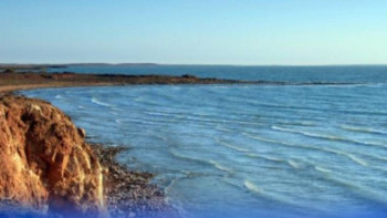 Фотография к новости: Су саласын дамытуға 12 млн доллардан астам грант тартылды