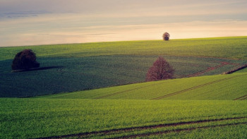 Фотография к новости: Қостанай облысында 219 млн теңгенің жер учаскесі мемлекетке қайтарылды