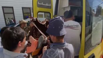 Фотография к новости: Түлкібаста құрылысшы 4 метрлік шұңқырға құлап кетті