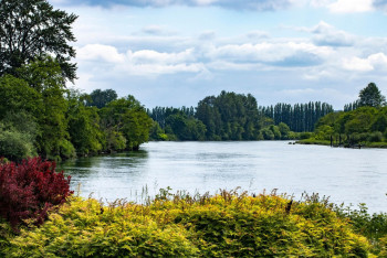 Фотография к новости: Павлодар облысында жазғы уақытта 47 жағажай жұмыс істейді