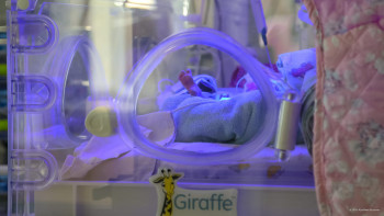 Фотография к новости: Қазақстан ана өлімін айтарлықтай тез төмендеткен 10 елдің қатарына кірді