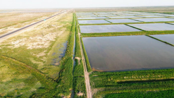 Фотография к новости: Қызылорда облысында 15 мың гектардан астам егістік жер қалпына келтірілді