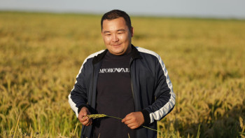 Фотография к новости: Ата кәсіпке адалдық: Сыр бойындағы күріш шаруашылығының жаңа тынысы