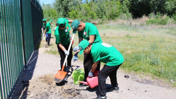 Фотография к новости: Туған өлкені сүй, табиғатты қорғай біл: Семейде экологиялық акция өтті