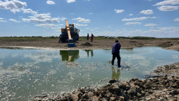 Фотография к новости: Атырау облысында қырылған балық өлексесі анықталды