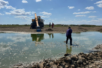 Фотография к новости: Атырау облысында қырылған балық өлексесі анықталды