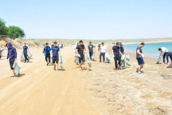 Фотография к новости: Чемпиондар қоқыс жинады: Шардарада ерекше плоггинг өтті