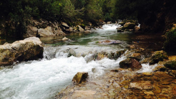 Фотография к новости: Алматыда 9-сынып оқушысы фотосессия кезінде өзенге құлап кетті