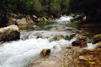 Фотография к новости: Алматыда 9-сынып оқушысы фотосессия кезінде өзенге құлап кетті