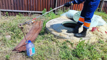 Фотография к новости: Құтқарушылар үй ауласын жыландардан тазартты