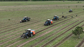 Фотография к новости: Қостанайда 2 мың гектар жерге ағаш егілді