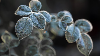 Фотография к новости: Аяз, тұман: бүгін елімізде ауа райы қандай болады