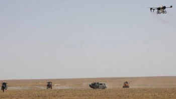 Фотография к новости: Министр ауыл шаруашылығы алқаптарын шегірткеден қорғау шараларын күшейтуді тапсырды